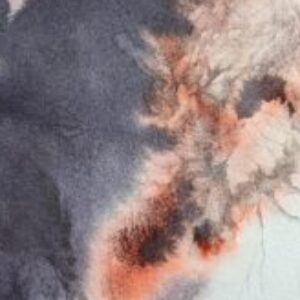 Profile photo of sandra verónica reyes